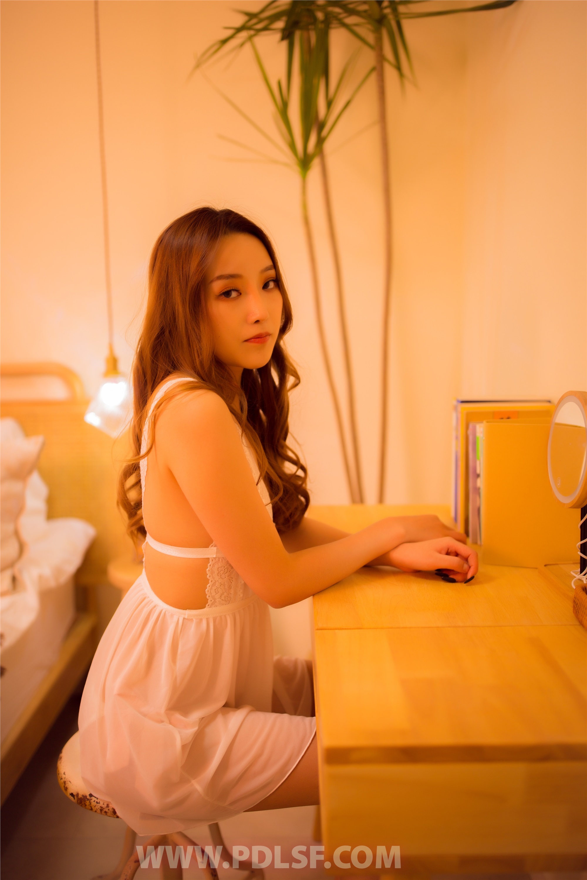 PDL潘多拉 2019.12.21 专辑No.255